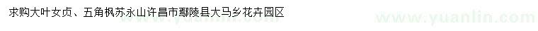 求購大葉女貞、五角楓