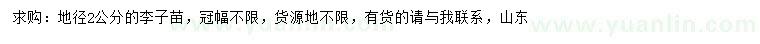 求購地徑2公分李子苗