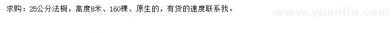 求購25公分法桐