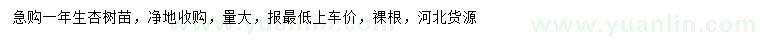 求購一年生杏樹苗