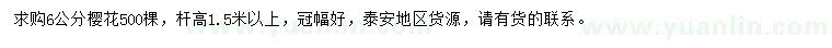 求購6公分櫻花
