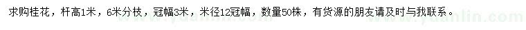 求購高1米桂花