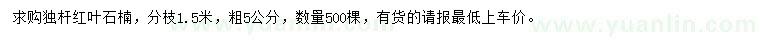求購(gòu)分枝1.5米獨(dú)桿紅葉石楠