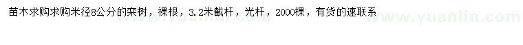 求購(gòu)米徑8公分欒樹(shù)