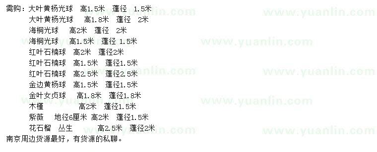 求購大葉黃楊球、海桐球、紅葉石楠球等