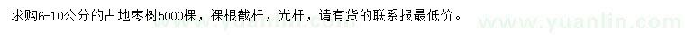 求購(gòu)6-10公分占地棗樹(shù)