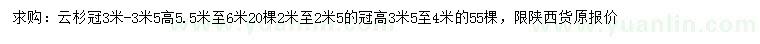 求購冠幅3-3.5米云杉