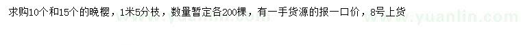 求購10、15公分晚櫻