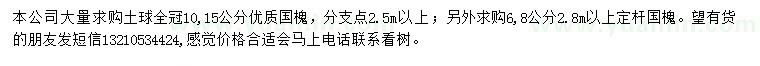 求購6、8、10、15公分國槐