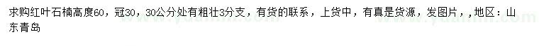 求購(gòu)高度60公分紅葉石楠