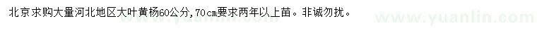 求購60公分大葉黃楊