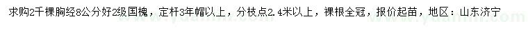 求購胸經(jīng)8公分好2級國槐