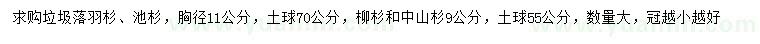 求購垃圾落羽杉、池杉、柳樹等
