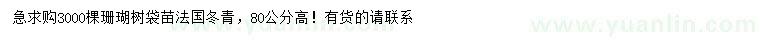 求購法國冬青苗、珊瑚樹苗