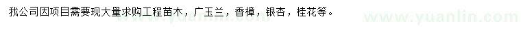 求購廣玉蘭、香樟、銀杏等