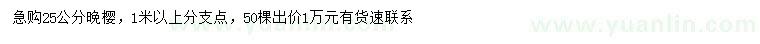 求購(gòu)25公分晚櫻 