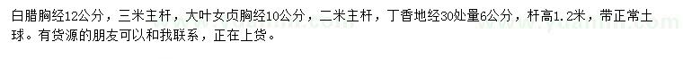 求購白臘、大葉女貞、丁香