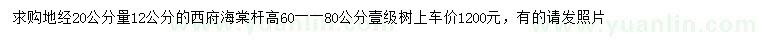 求購12公分西府海棠