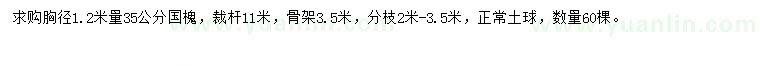 求購(gòu)胸徑1.2米量35公分國(guó)槐