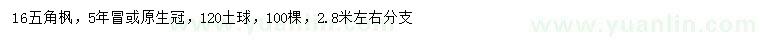 求購(gòu)16公分五角楓