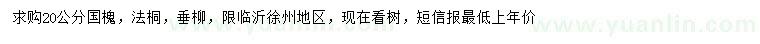 求購國槐、法桐、垂柳