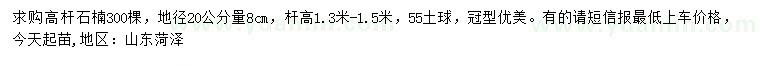 求購(gòu)地徑20公分高桿石楠