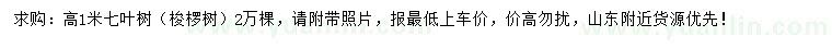 求購(gòu)高1米七葉樹