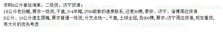 求購垂絲海棠、老白蠟、速生國槐