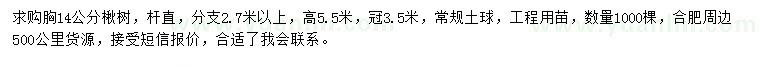 求購胸14公分楸樹