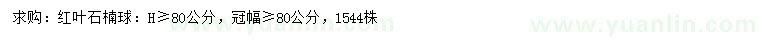 求購紅葉石楠球
