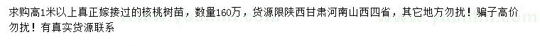 求購高1米以上核桃苗