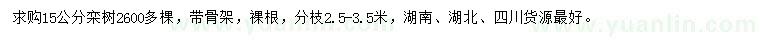 求購15公分欒樹