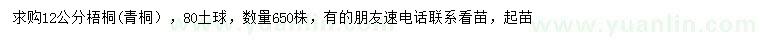 求購12公分梧桐
