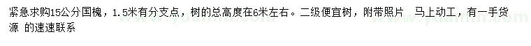 求購15公分國槐