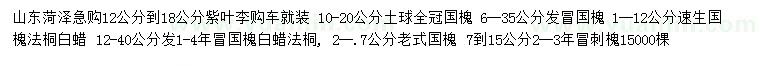 求購(gòu)紫葉李、國(guó)槐、法桐等