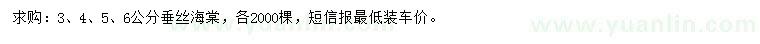 求購3、4、5、6公分垂絲海棠