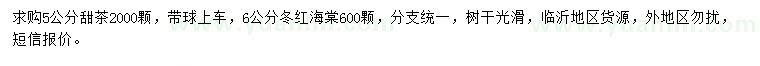 求購5公分甜茶、6公分冬紅海棠