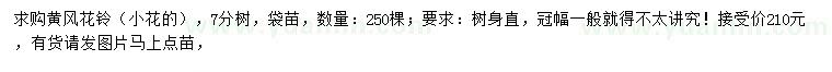 求購小花黃風(fēng)花鈴