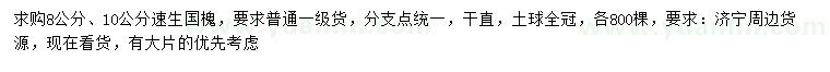 求購8、10公分速生國槐