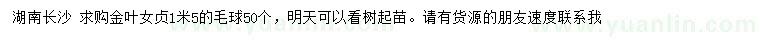 求購1.5米金葉女貞
