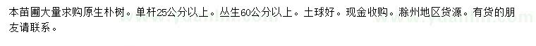求購25公分以上原生樸樹