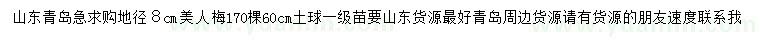 求購地徑8公分美人梅