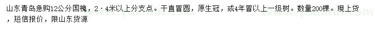 求購12公分國槐