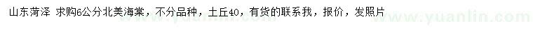 求購6公分北美海棠