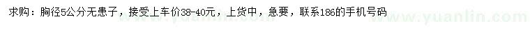 求購胸徑5公分無患子