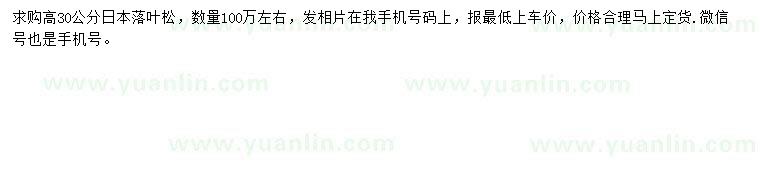求購高30公分落葉松