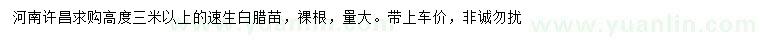 求購高3米以上速生白臘苗