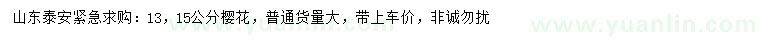 求購(gòu)13、15公分櫻花