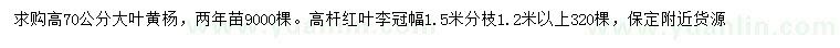 求購高70公分大葉黃楊、冠幅1.5米高桿紅葉李
