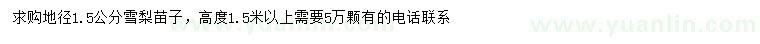 求購地徑1.5公分雪梨苗子